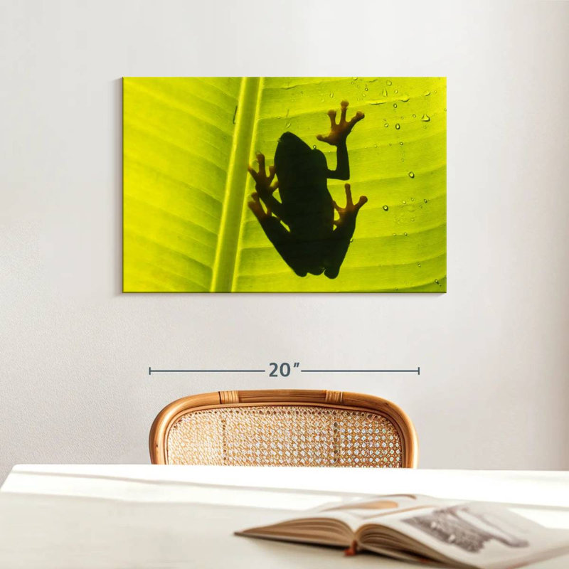 Crowle Frog On Leaf, 16" H x 24" W