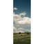 Bordure florale pelez et collez-100666707-121472122