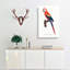 Ara Canga Parrot by F. Levaillant - Wrapped Canvas Painting Pint - Wrapped Canvas-55367849