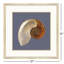 Ocean Treasure Framed Art