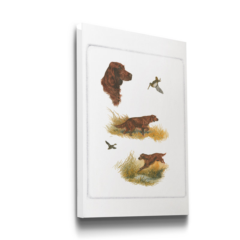 « Irish setter », reproduction d’art sur toile tendue, H 36 po x l 24 po x P 1 po