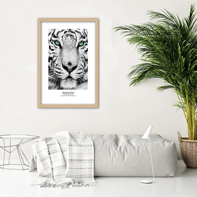 African Tigers - Single Picture Frame Print
