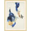 Abstract Print by Studio L57 Affinity-14465299