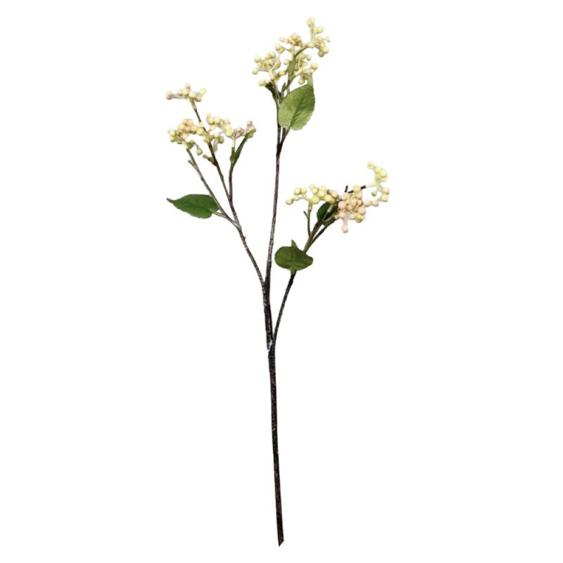 Arrangement