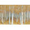 Forest of Gold Crop - peinture sur toile tendue