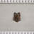 Caroline Chest - White