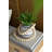 Willmore Figurines & Sculptures-1671124738
