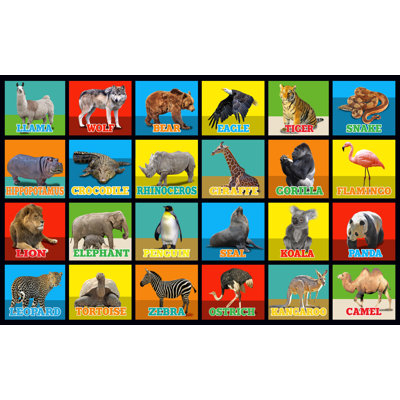 KidCarpet.com Animal Picture Squares Seating Grid Classroom Rug, 7'6"x12'