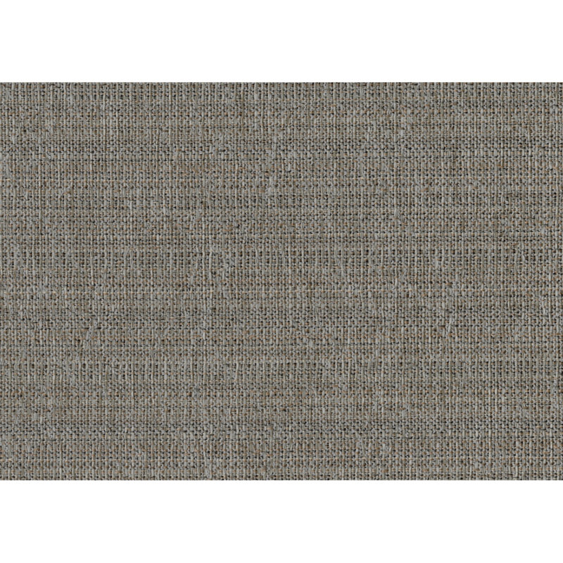 Ensemble de chaises d'appoint de style traditionnel 2 pièces