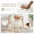 Noehly Upholstered Velvet Accent Stool Vanity Chair-1464942482