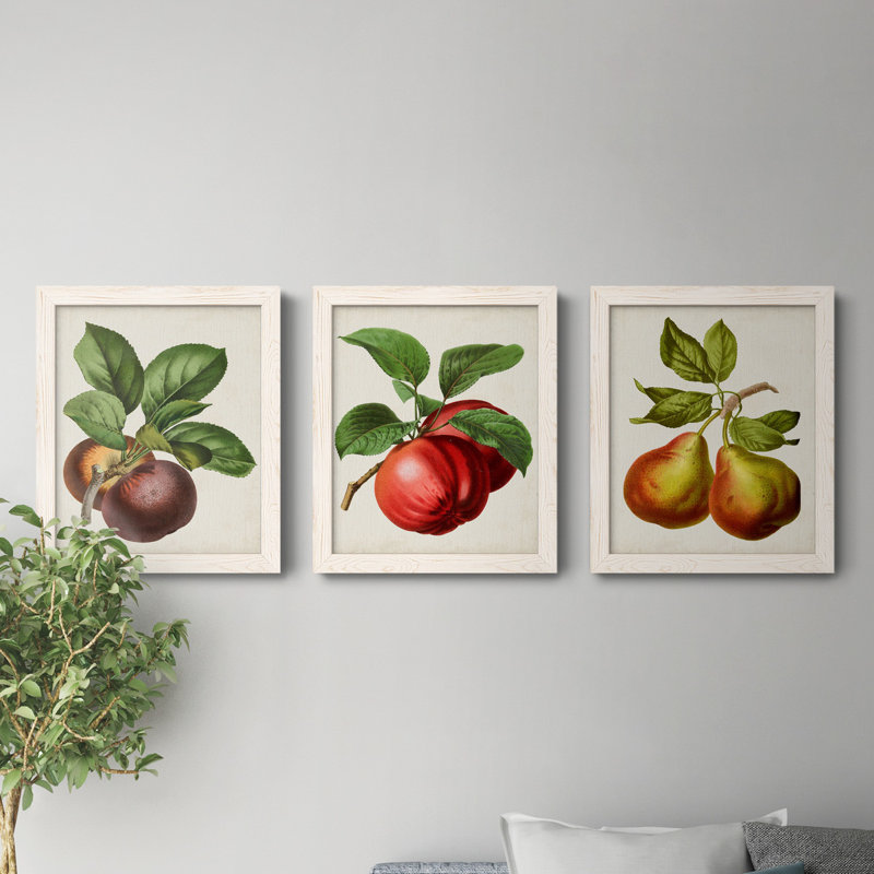 Antique Fruit IX - Ensemble de 3 peintures sur toiles encadrées, Blanc, H 20 po x l 51 po x P 1,5 po