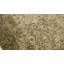 Wool Oriental Area Rug in Brown