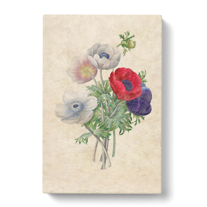 Anemone Flowers by Pierre-Joseph Redoute - Wrapped Canvas Painting Pint - Wrapped Canvas, 60cm H x 40cm W x 3cm D