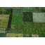 Tapis vert patiné 8 x 10