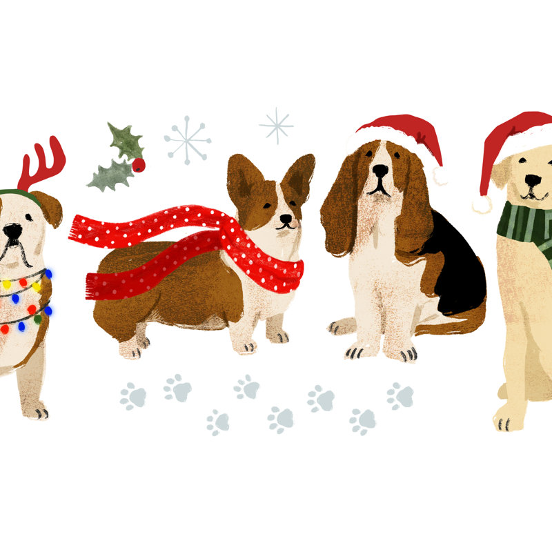 Holidogs Collection D by Victoria Barnes - Graphic Art Print, 30cm H x 46cm W, Wrapped Canvas