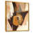 Gold Floater Framed