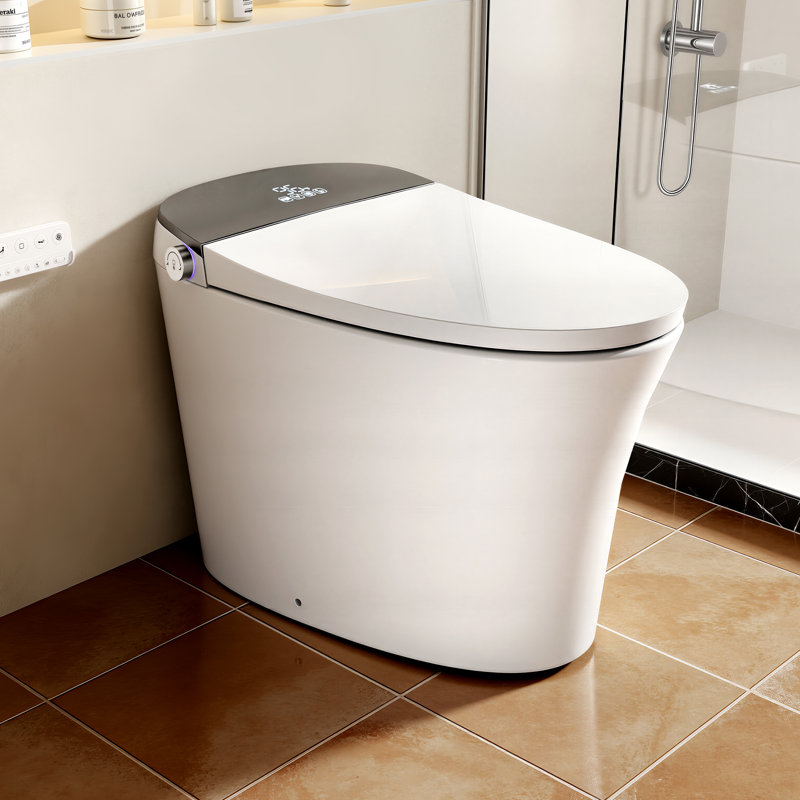 Rizzon Tankless Smart Toilet with Auto Flush, Heated Seat, Dryer & Foot Sensor Control