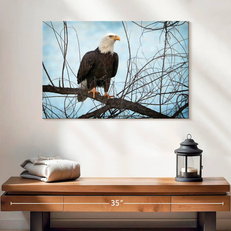 Portrait d'un aigle à tête blanche Brampt, H 16 po x l 24 po