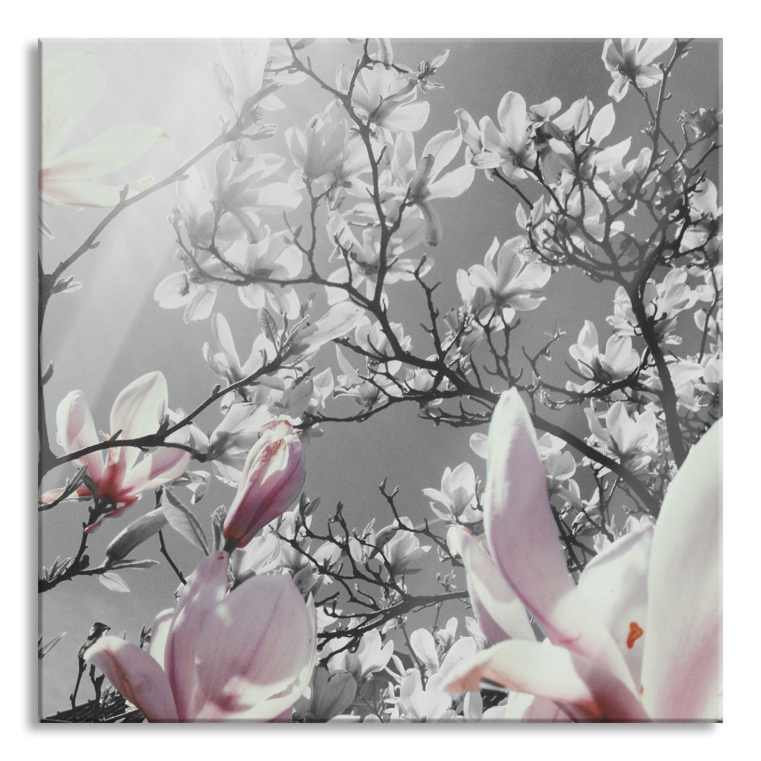 Glasbild Schöne Magnolie Blüten