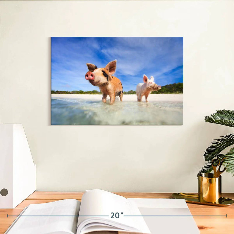 Crowle Pigs On Exumas Islands, 8" H x 12" W