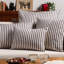 Striped Cushion-1947460557-1947460561