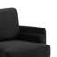 Fauteuil en velours avec 2 coussins Ronella-1438679518