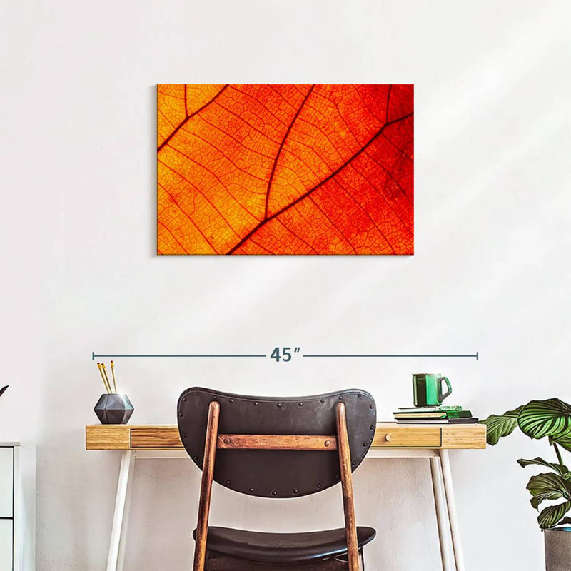 Harnek Autumn Leaf Venation