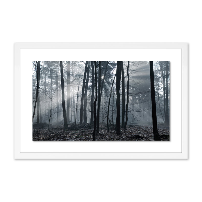 Eerie Trees I Print by Jakob Wagner, 16" H x 24" W x 1.5" D, White