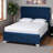 Ekon Queen Size Panel Bed Made of Navy Blue Velvet Fabric, 56.81'' H X 63.59'' W X 90.27'' L