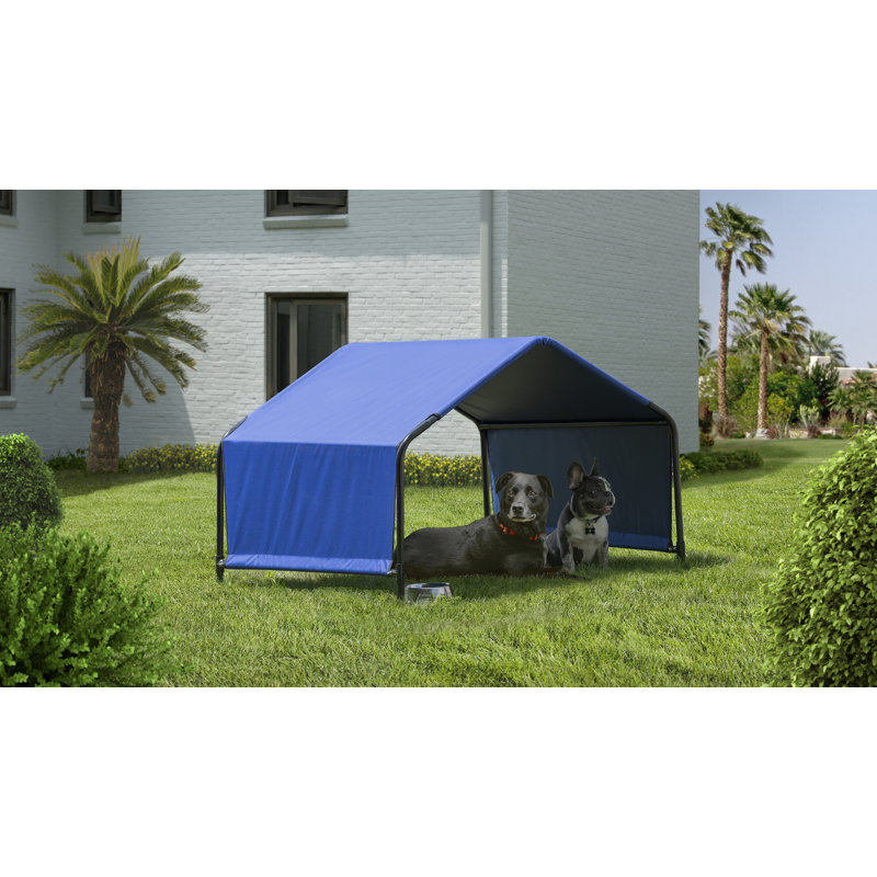 Abri pour animaux 4 x 4 x 3 pi