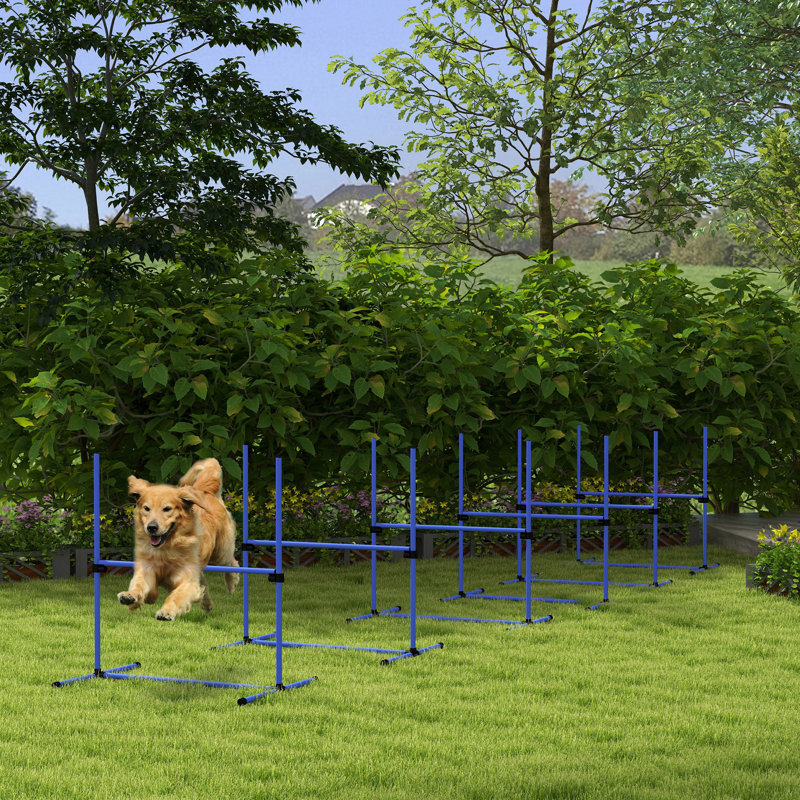 Blue Adjustable Height Dog Agility Training Kit with Carry Bag