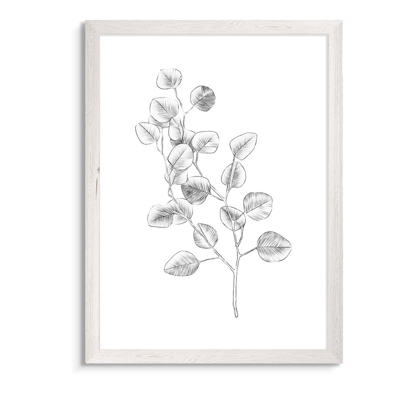 Eucalyptus croquis IV - Cadre photo, reproduction d'art, H 44 po x l 32 po x P 1,3 po, Toile blanche encadrée