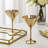 2 Piece 8 oz. Martini Glasses Set