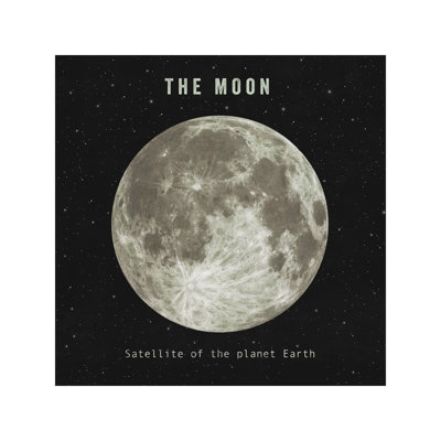 The Moon by Terry Fan - Wrapped Canvas Print
