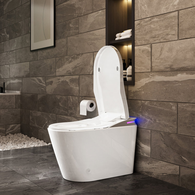 ADA Smart Toilet with Built-In Tank, Auto Lid & Deodorizing System, Bidet Wash and Heated Seat, White