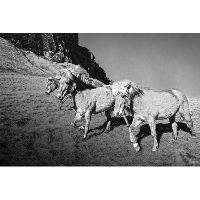 Wild Horses Desert Dark - Wrapped Canvas Art Prints, 30cm H x 46cm W