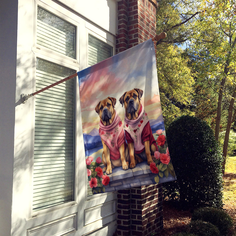 Double Sided 40'' H x 28'' W Polyester Valentine's Day House Flag