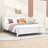 Zachai Wood Platform Bed Frame with Headboard-676043136-676043137