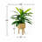 Callender 17.50" Artificial Dracaena Plant in Basket-41255500
