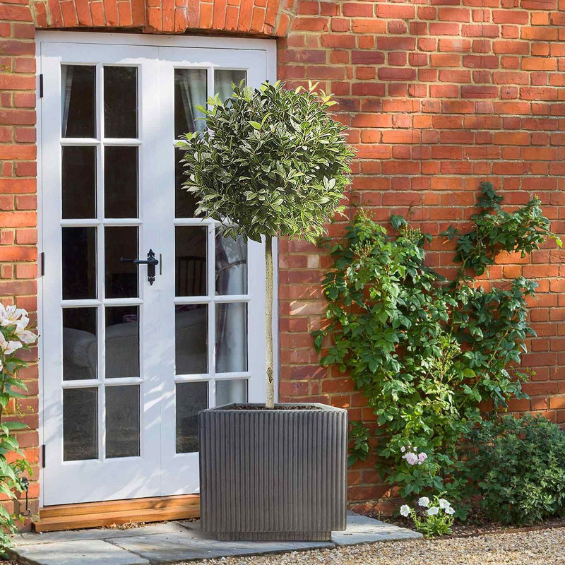 Black Concrete Effect Square Planter, Frostproof Outdoor Plant Pot, Garden Planter Box with Drainage Holes