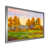 Silver Framed Canvas is unavailable