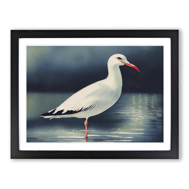 Watercolour Seagull Vol.2 - Single Picture Frame Print, Black, 34cm H x 46cm W