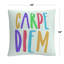 Coussin décoratif ABC Carpe Diem
