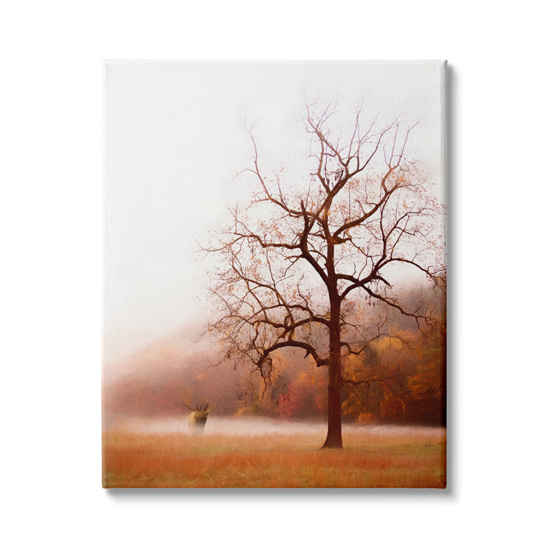 Automne, pré, paysage sauvage, Mo, par Phburchett, 963, Toile tendue, H 40 po x l 30 po x P 1,5 po