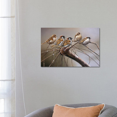 Birds On A Broken Bicycle by Jan Weenink - Wrapped Canvas Print
