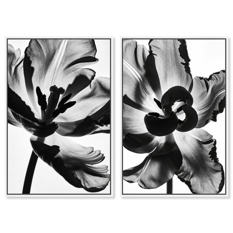Close Up Set Floral & Botanical Canvas Print by Oliver Gal, Black Frame, 10 x 15, 46" H x 31" W, White Floater Frame