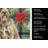 Spinone Italiano Christmas PoinsettIas Kitchen Towel-2080584078