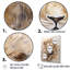 «Powerful Lion S Stare Portrait IV», reproduction-1356845594-1356845595