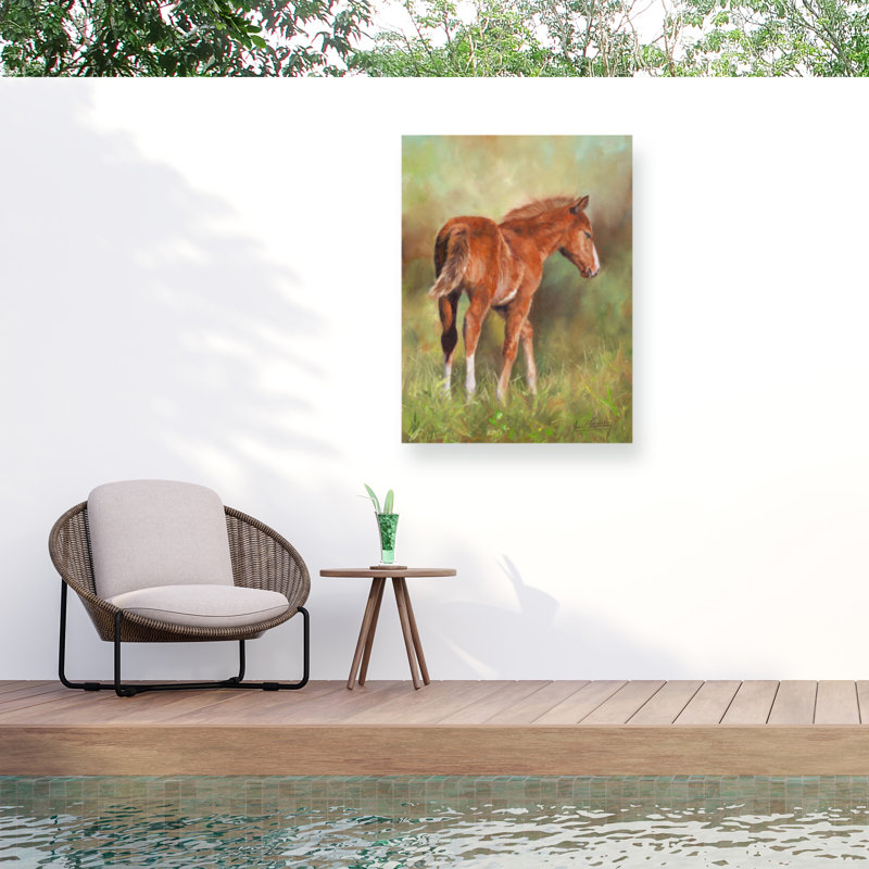 Toile d'extérieur David Stribble Foal In Sunshine, H 14 po x l 19 po