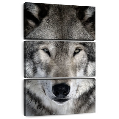 Tête de loup gris Brampt
